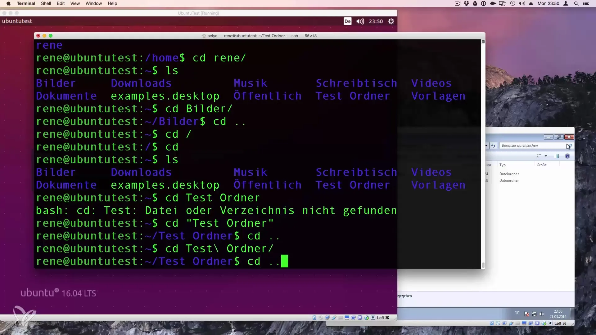 Maestra del cambio di directory con cd in Linux Maestrare il cambio di directory con cd in Linux