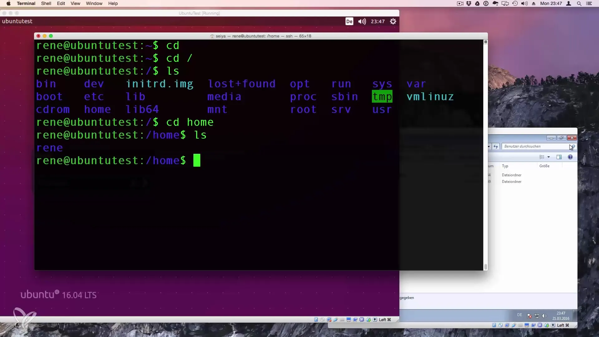 Maestria del cambio di directory con cd in Linux Mastering directory changes with cd in Linux