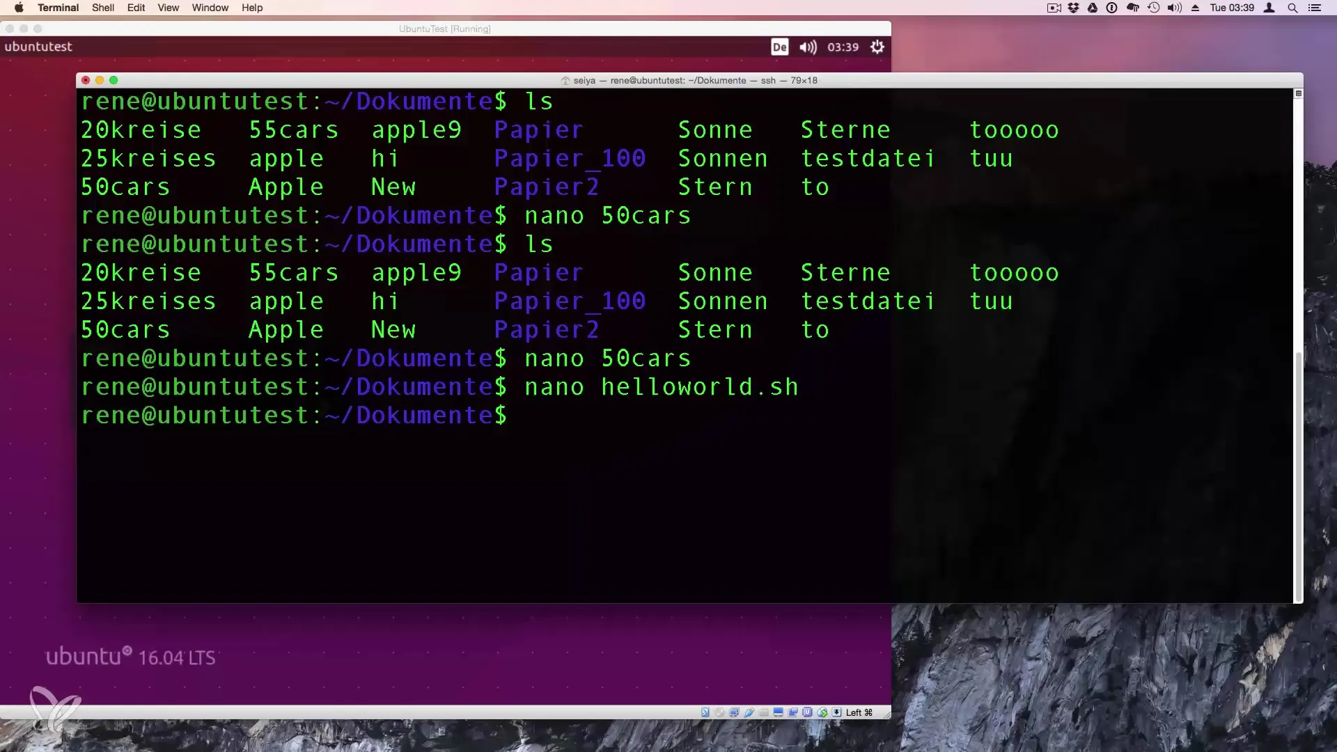 Eseguire script Bash - Guida per principianti Esecuzione di script Bash - Guida per principianti
