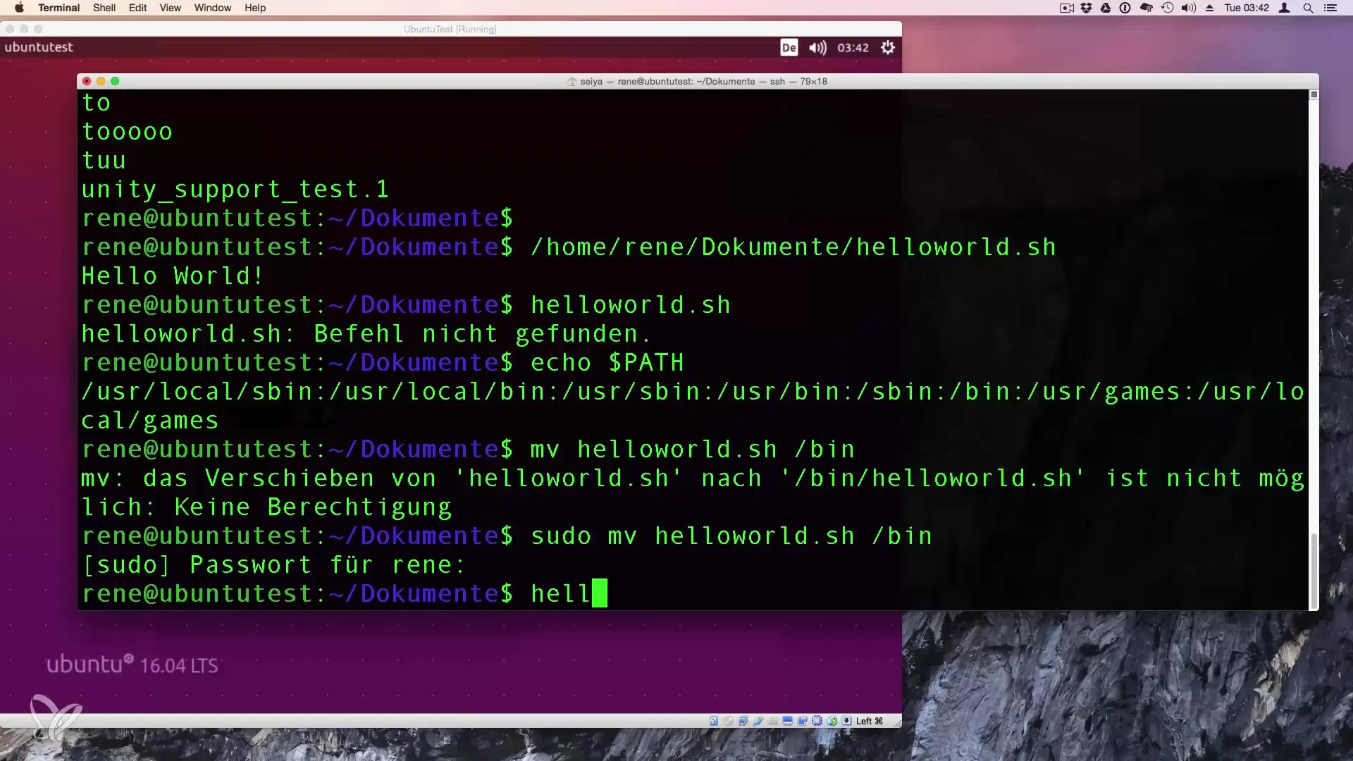 Esecuzione di script Bash – Guida per principianti Esecuzione di script Bash - Guida per principianti