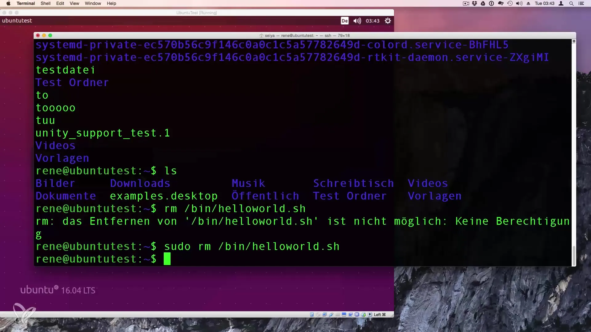 Eseguire script Bash - Guida per principianti Eseguire script Bash - Guida per principianti