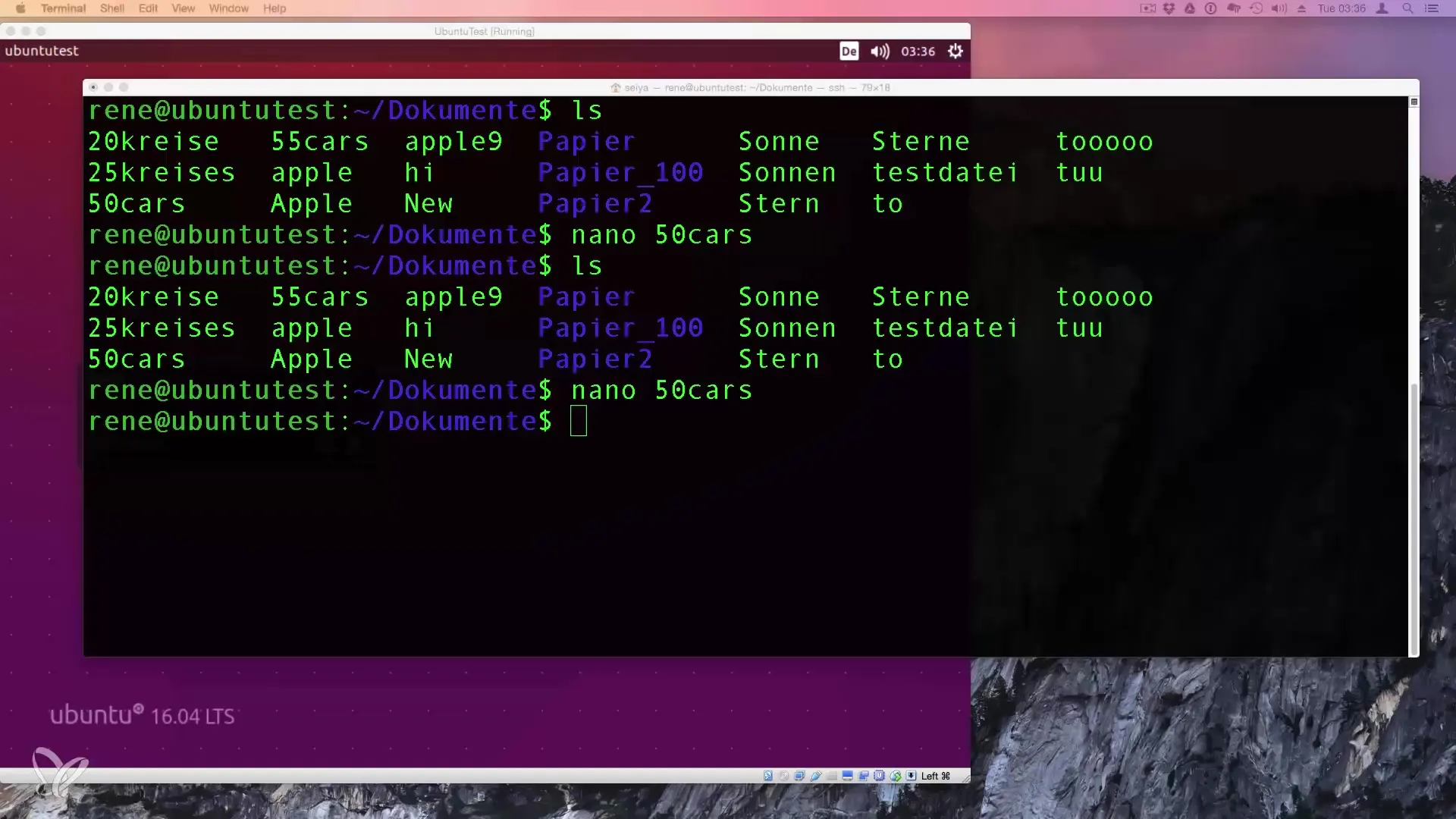 Esecuzione di script Bash - Guida per principianti Eseguire script Bash – Guida per principianti