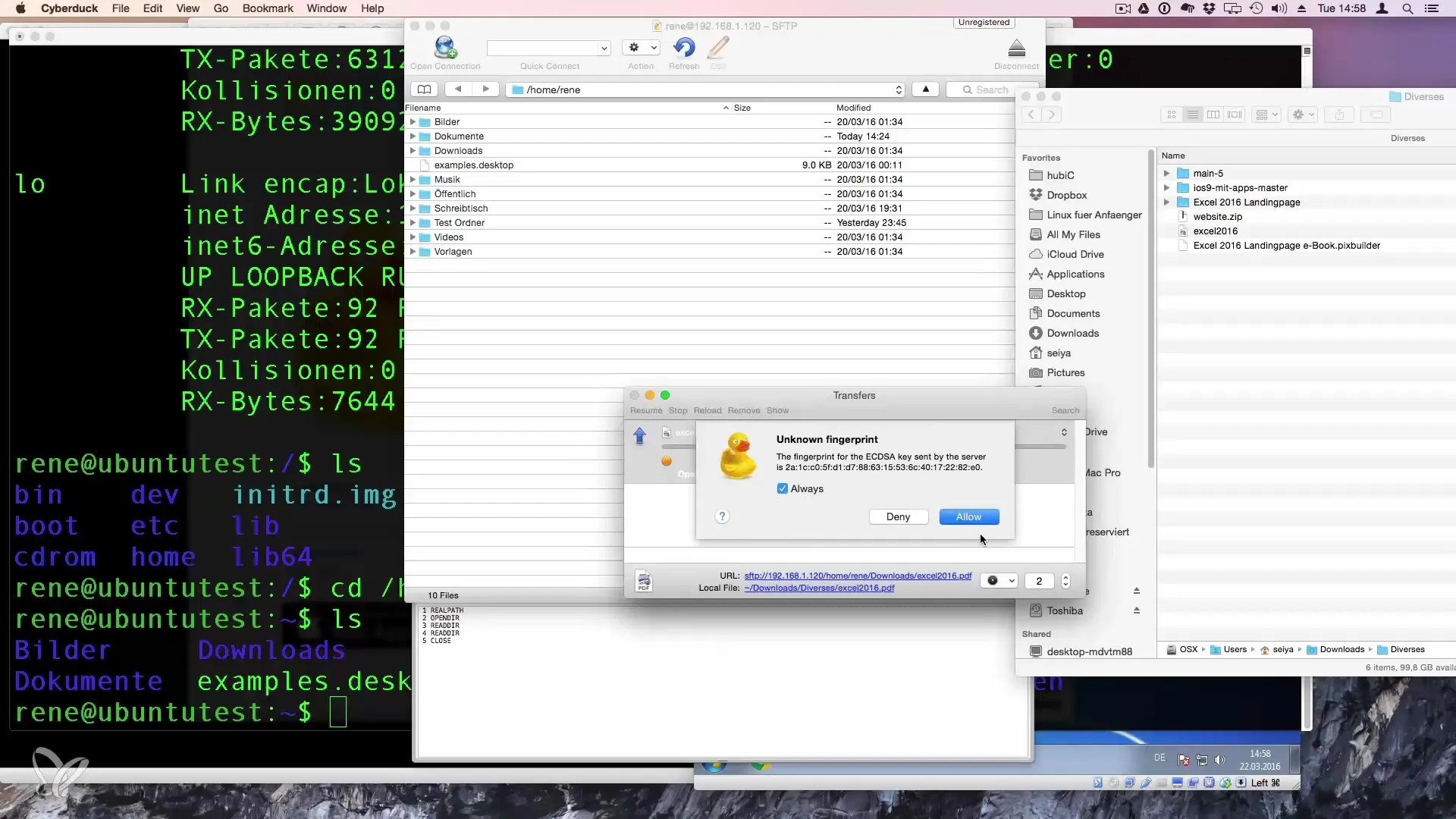 Trasferimento sicuro di file tra PC e server Linux Trasferimento file sicuro tra PC e server Linux