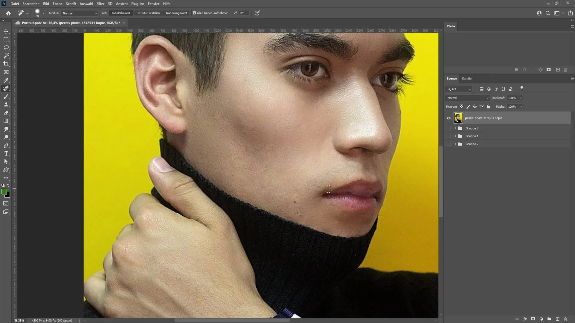 Portrait-Kunst mit Photoshop: Eine Schritt-für-Schritt-Anleitung