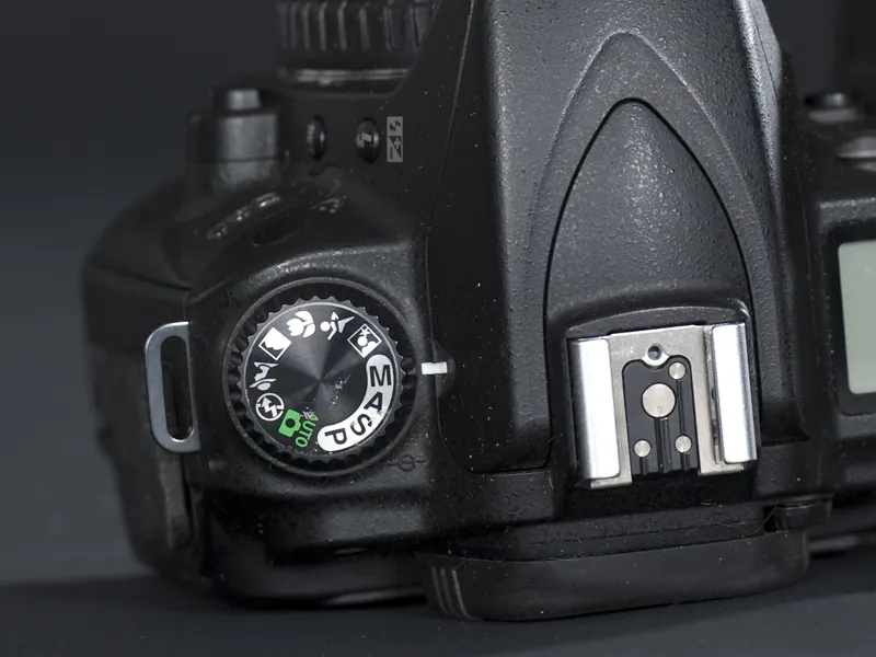 Animal photography part 02: The right equipment