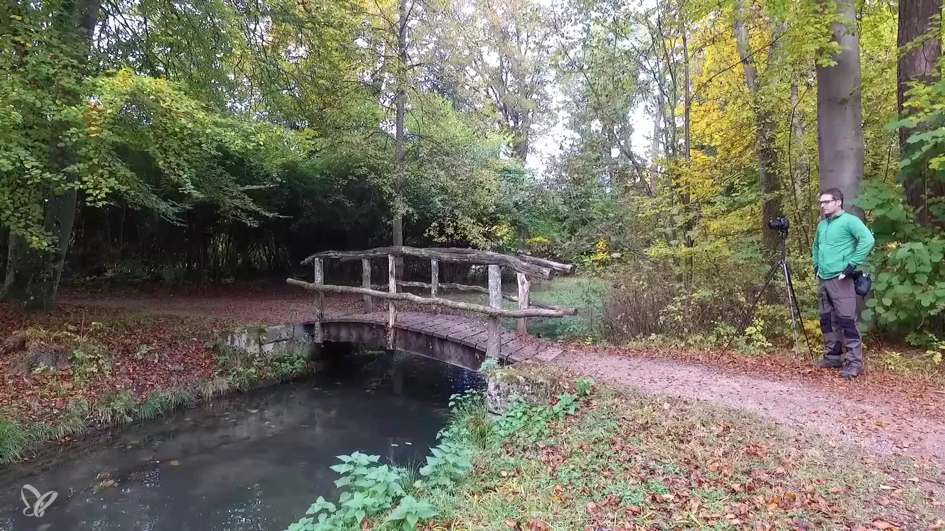 Fesselnde Herbstfotografie – Brücke am Fluss kreativ inszenieren Fesselnde Herbstfotografie – Brücke am Fluss kreativ inszenieren