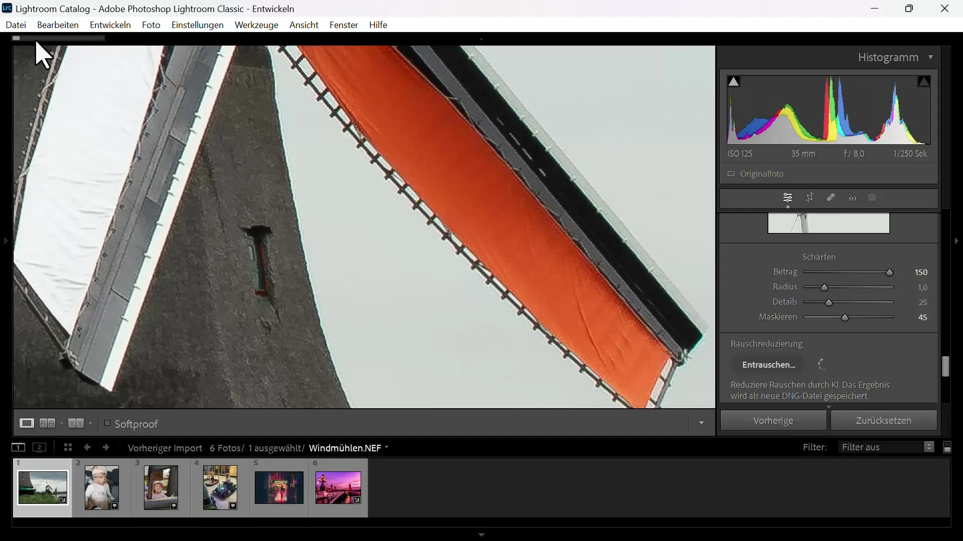 Afișarea optimă a imaginilor în Adobe Lightroom - ghidul tău pas cu pas