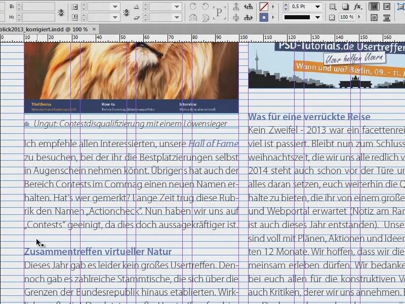 Uso de ayudas visuales en InDesign