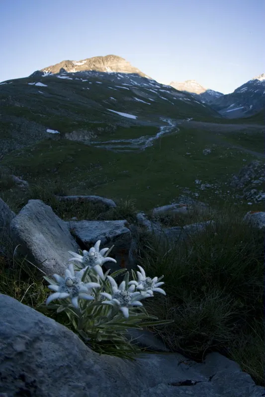 Mountain photography - Part 02 - Classic mountain landscape - Technique - Image composition
