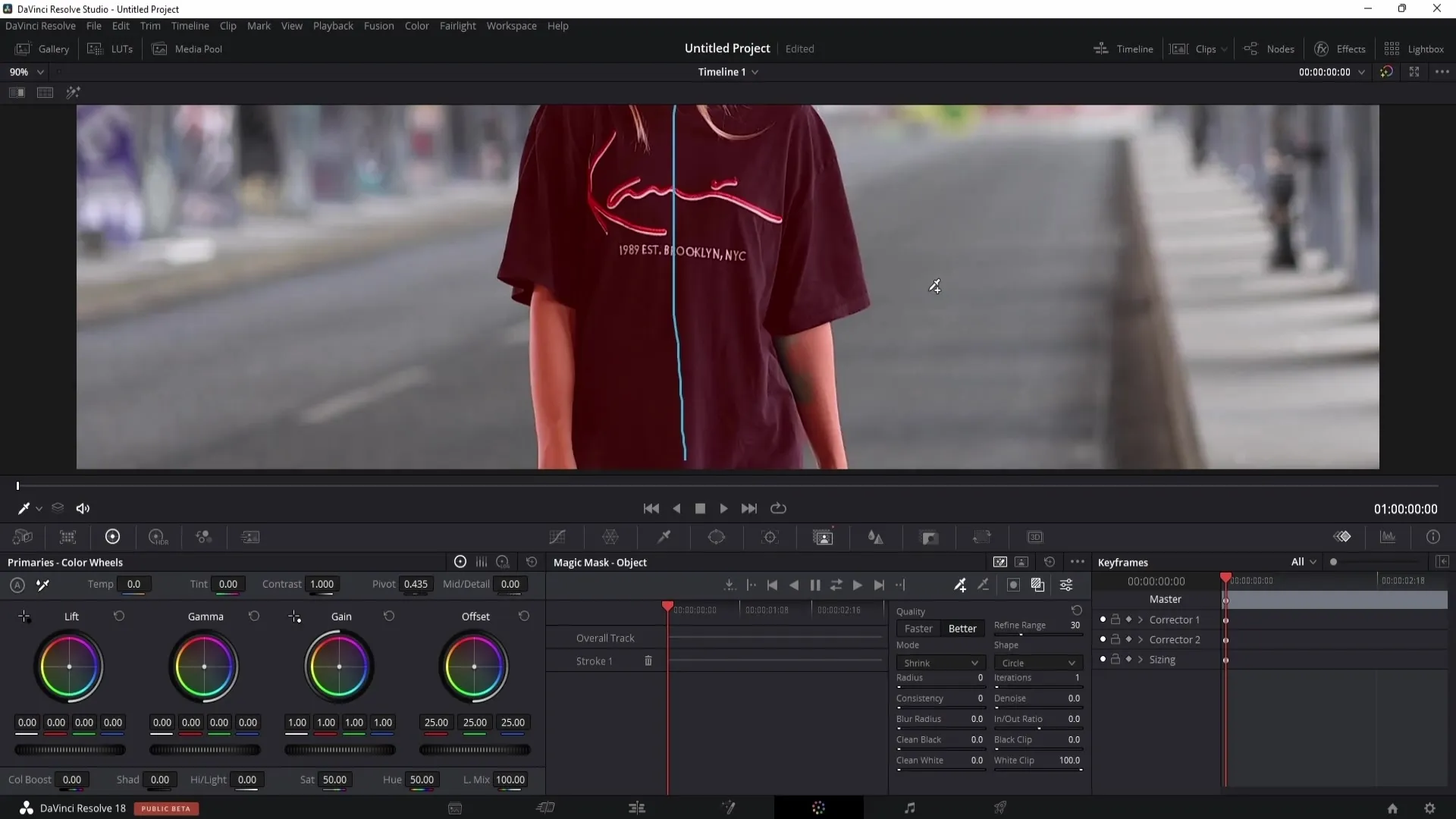 DaVinci Resolve: Efektivně vyjádřit osobu