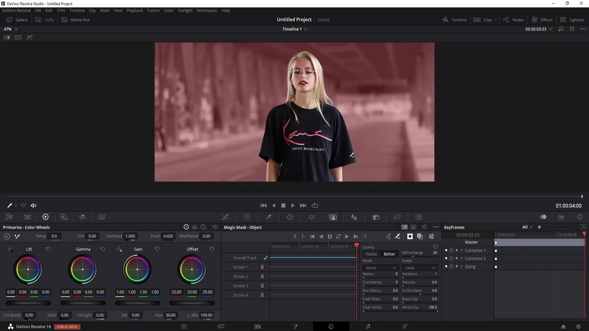 DaVinci Resolve: Účinně odstranit osobu