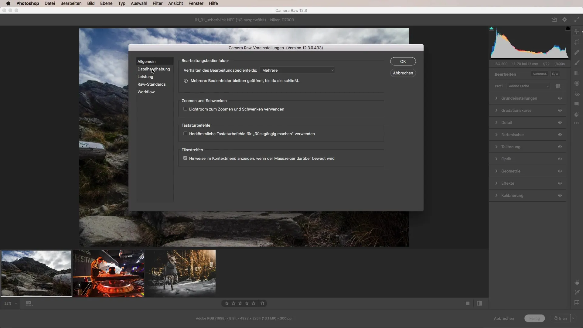 Konfigurácia optimálnych prednastavení v Camera Raw