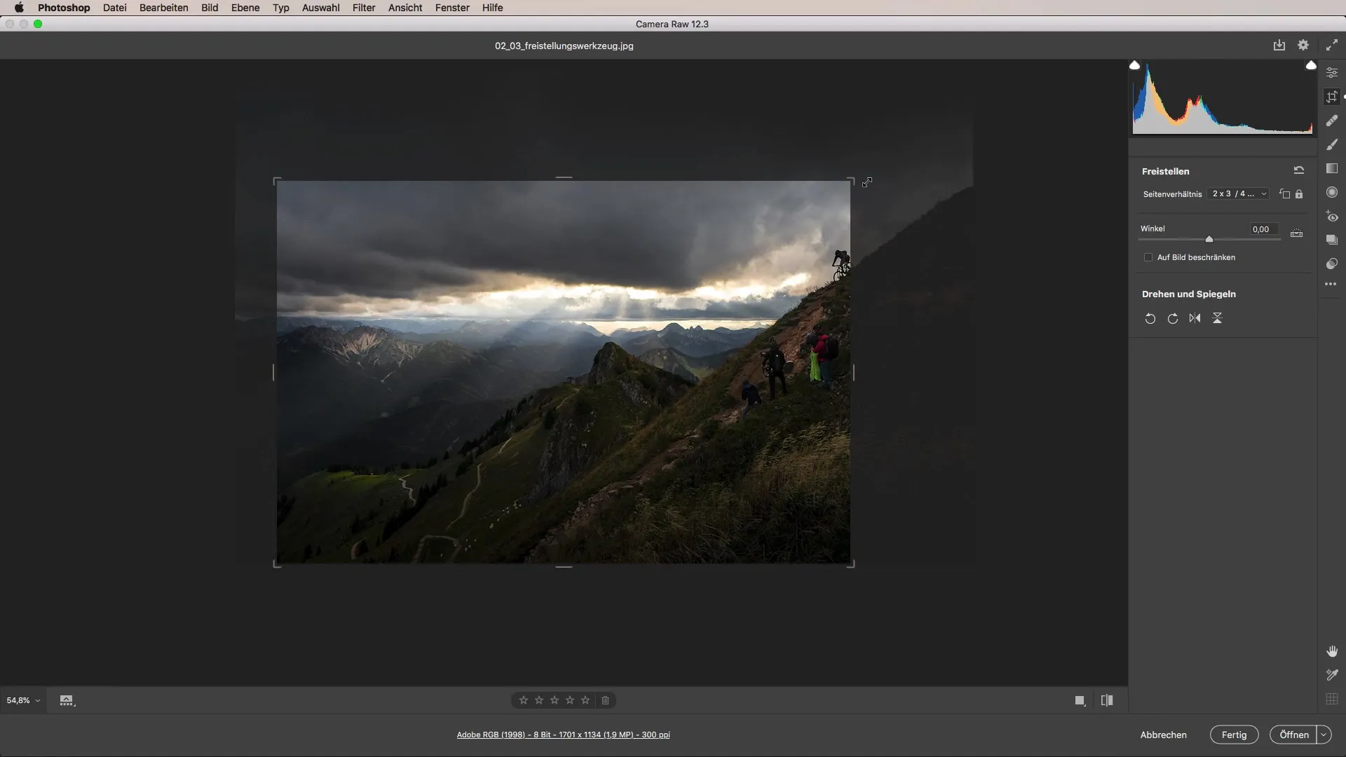 Compoziția optimă a imaginii prin decupare în Camera Raw