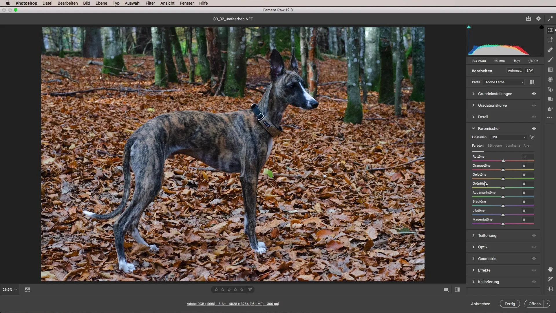 Changing colors with Adobe Camera Raw – Here's how it works!