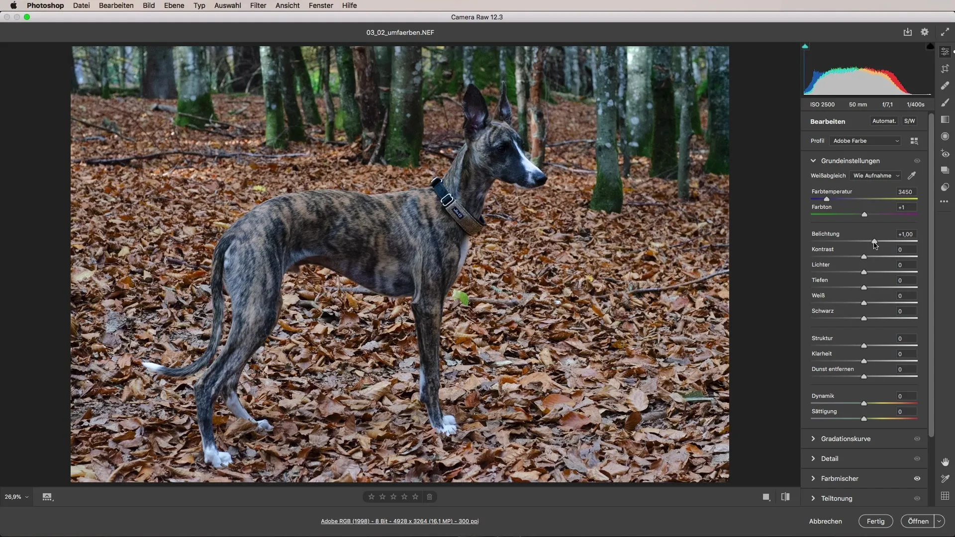 Changing colors with Adobe Camera Raw – Here's how it works!