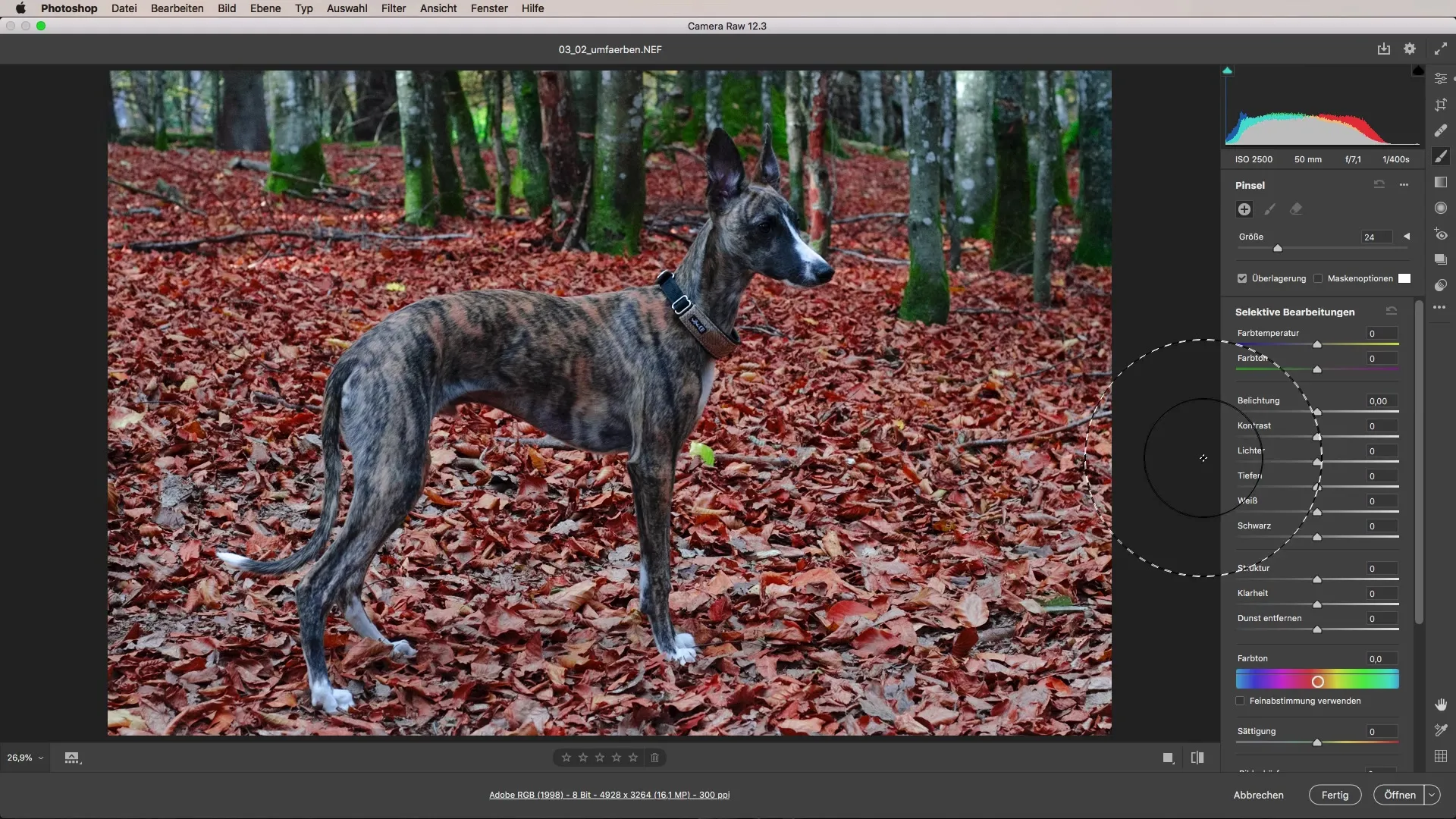 Changing colors with Adobe Camera Raw – Here's how it works!