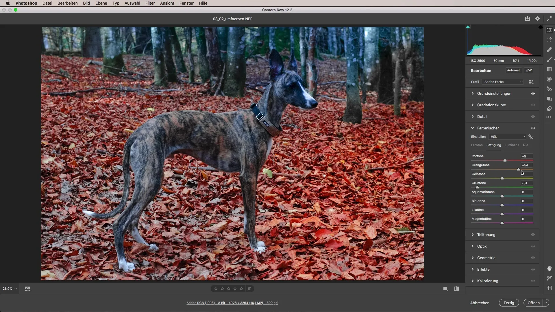 Change colors with Adobe Camera Raw - Here's how it works!