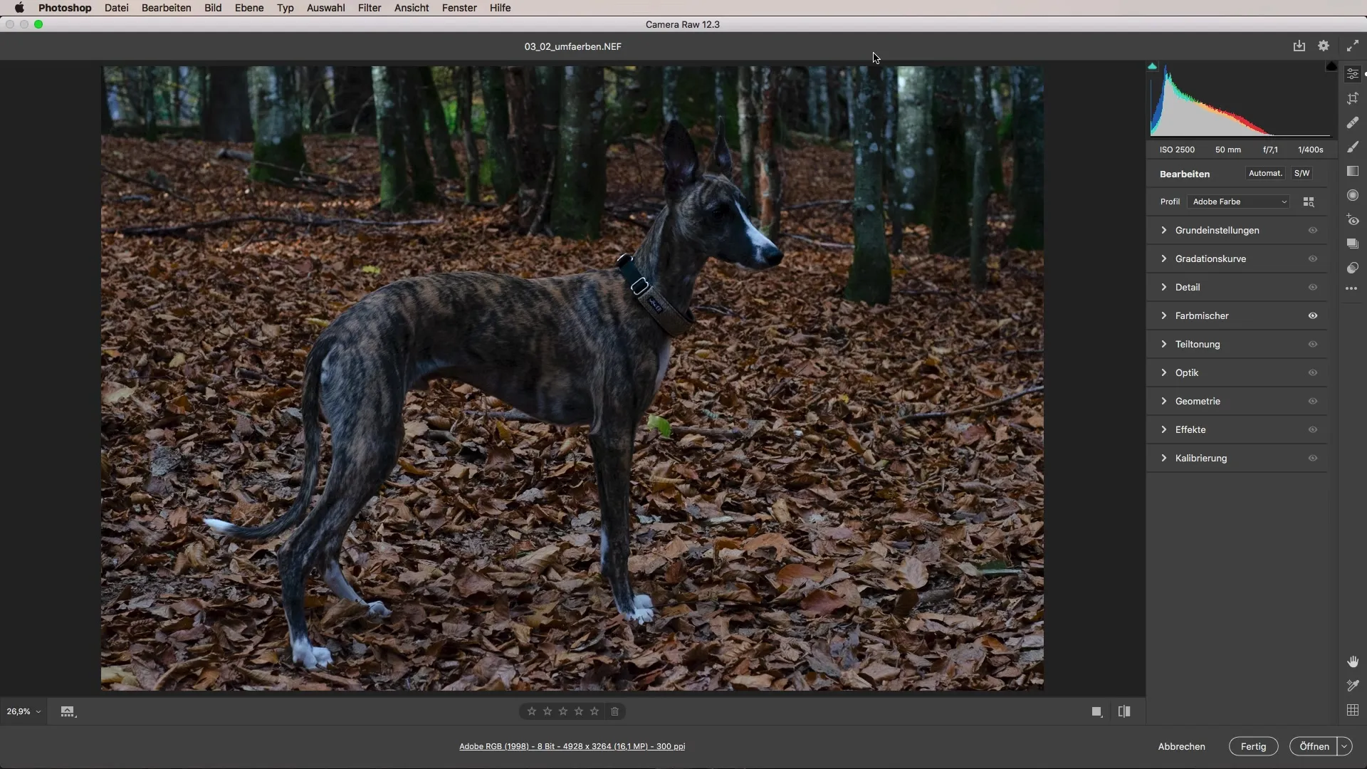Changing colors with Adobe Camera Raw – Here's how to do it!