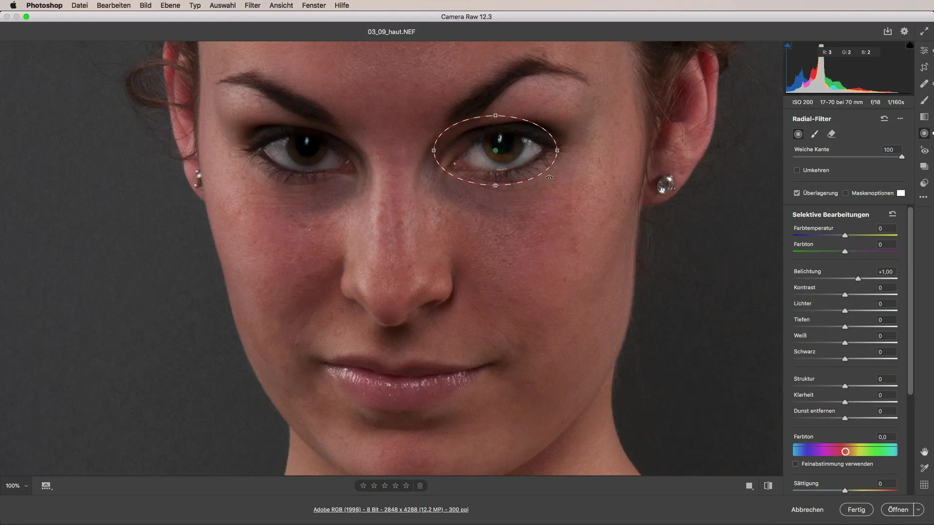 Melakukan retouching kulit dengan sempurna menggunakan Adobe Camera Raw Melakukan retouching kulit dengan sempurna menggunakan Adobe Camera Raw