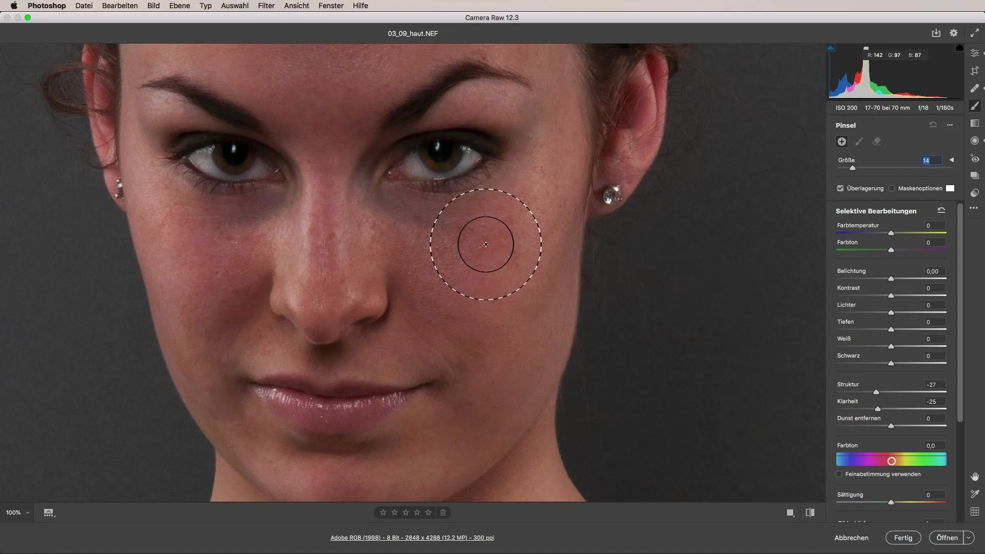 Penerapan retouching kulit yang sempurna dengan Adobe Camera Raw Melakukan retouching kulit dengan sempurna menggunakan Adobe Camera Raw