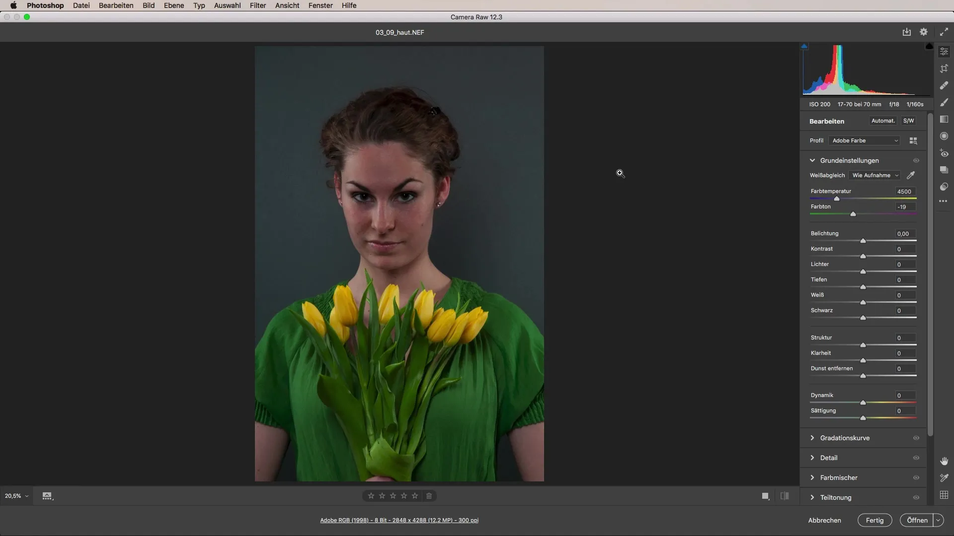 Perfect untuk melakukan retouching kulit dengan Adobe Camera Raw Melakukan retouching kulit dengan sempurna menggunakan Adobe Camera Raw