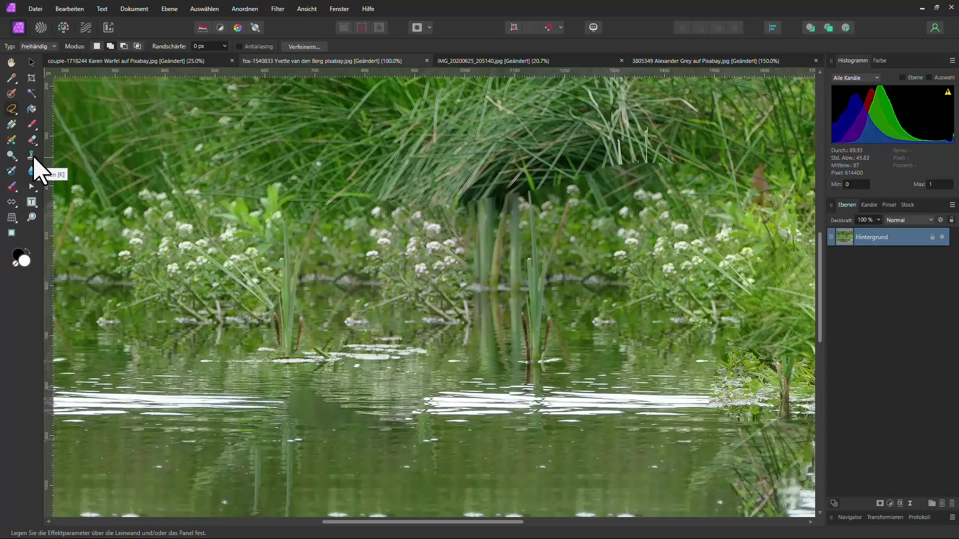 Metodi efficaci per rimuovere oggetti dalle immagini con intelligenza artificiale: confronto tra Affinity Photo e Photopea