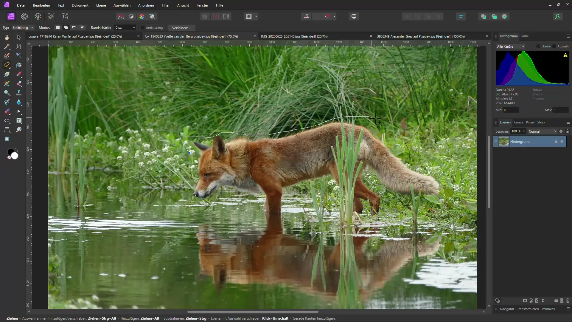 Metodi efficaci per rimuovere oggetti dalle immagini con l'IA: confronto tra Affinity Photo e Photopea