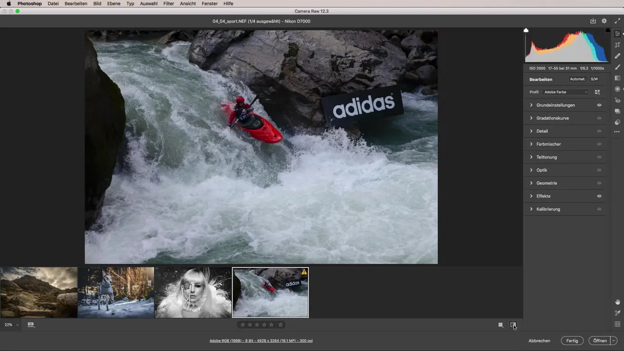 Kreative Fotobearbeitung mit Adobe Camera Raw - Ein umfassendes Videotutorial Kreative Fotobearbeitung mit Adobe Camera Raw - Ein umfassendes Videotutorial