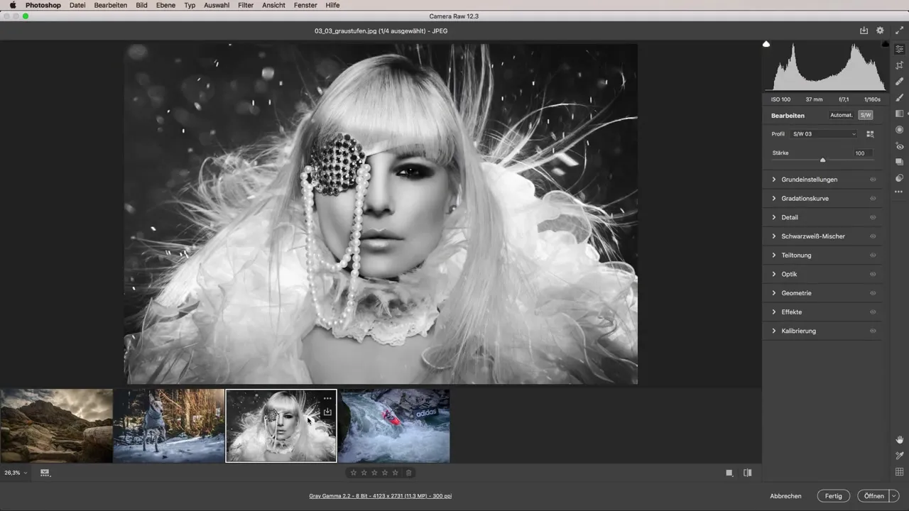 Kreative Fotobearbeitung mit Adobe Camera Raw - Ein umfassendes Videotutorial Kreative Fotobearbeitung mit Adobe Camera Raw - Ein umfassendes Videotutorial