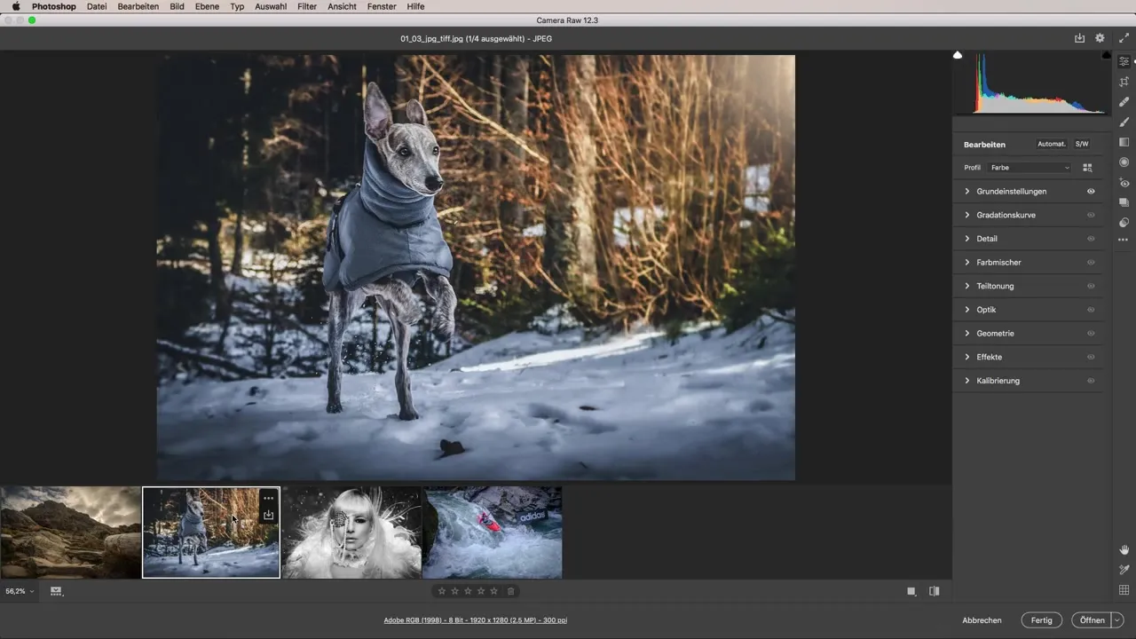 Kreative Fotobearbeitung mit Adobe Camera Raw - Ein umfassendes Videotutorial Kreative Fotobearbeitung mit Adobe Camera Raw - Ein umfassendes Videotutorial