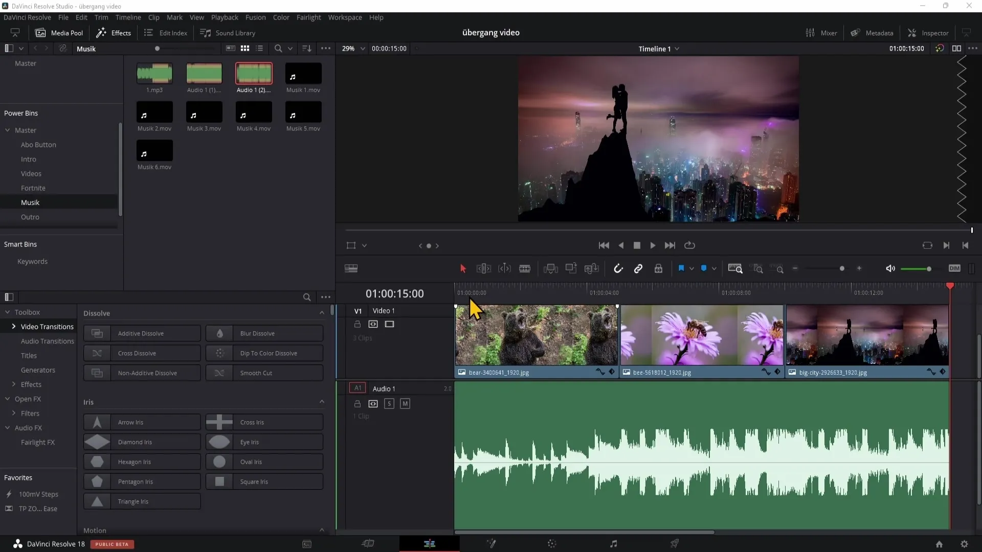 Audio přidat a odebrat v DaVinci Resolve - Jak na to