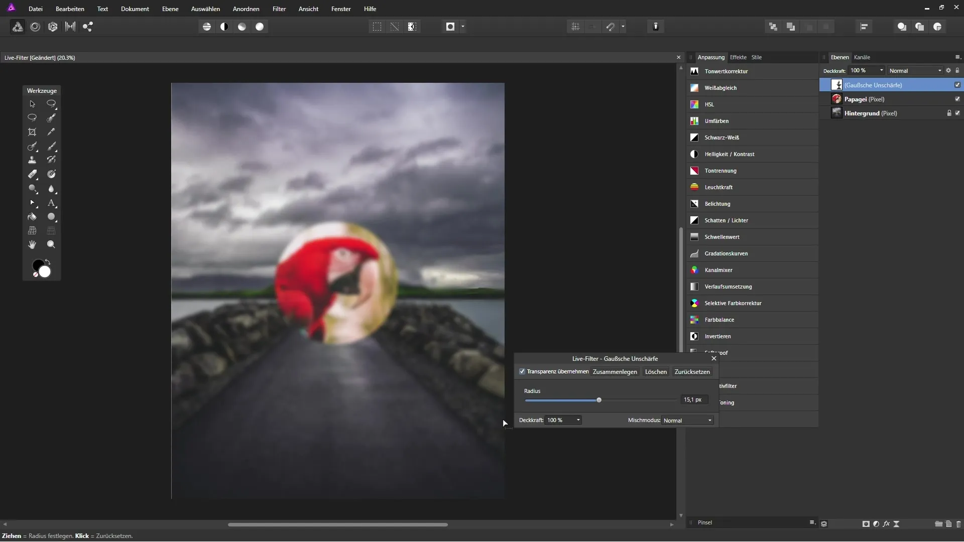 Utilizzo efficiente dei Live-Filtri in Affinity Photo