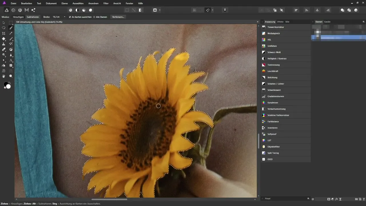 Grundlagen von Affinity Photo – Lerne die wichtigsten Funktionen