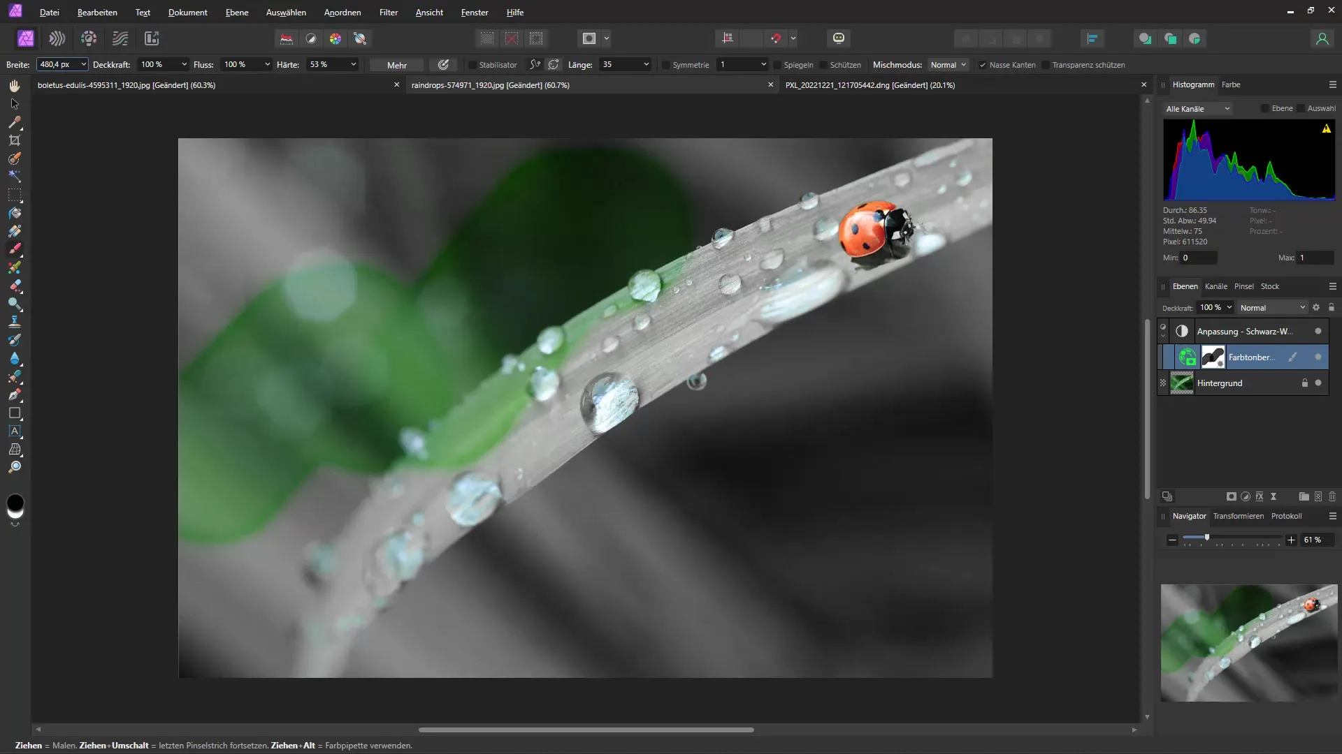 Die besten neuen Funktionen in Affinity Photo 2.0