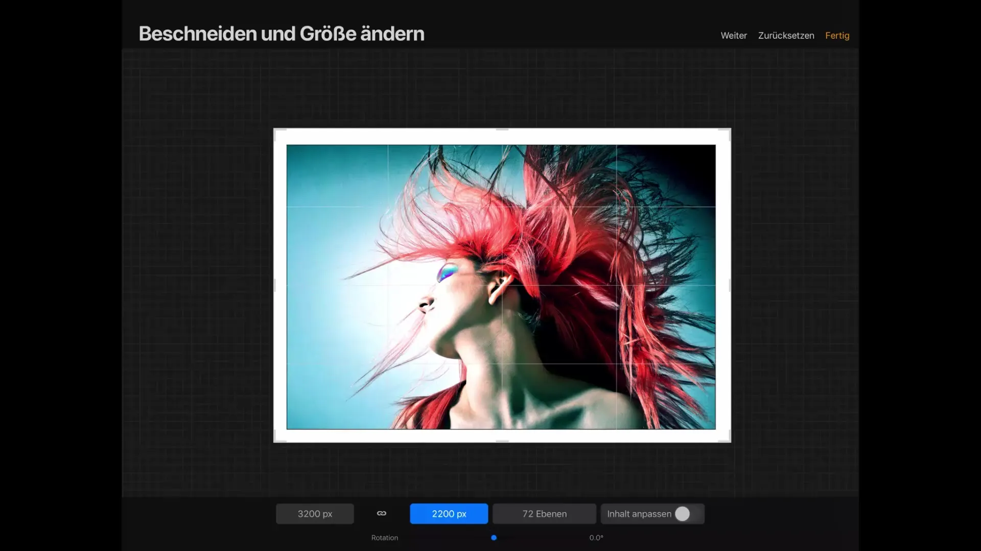 Procreate-tutorial: Optimalt arbejde med lærredet