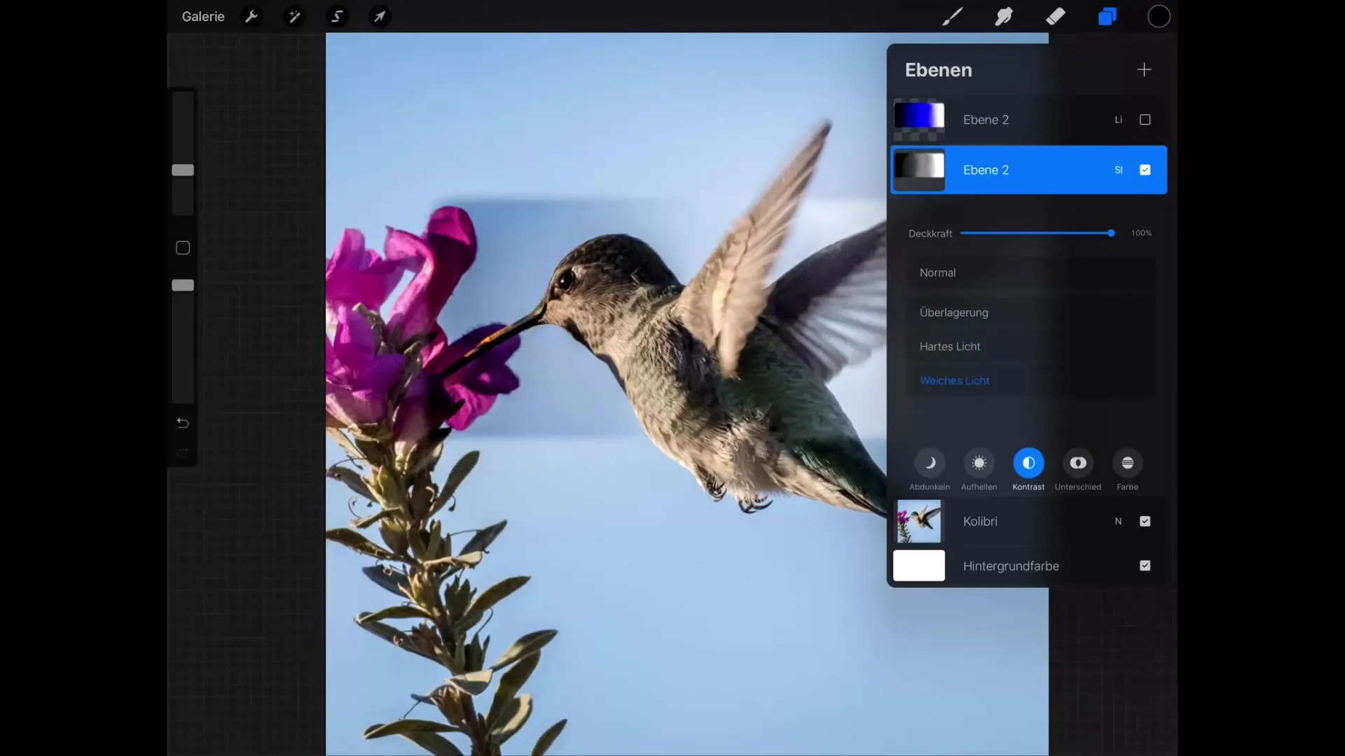 Digitalkunst med Procreate: Overlejrsmodi for oplysning og kontrast