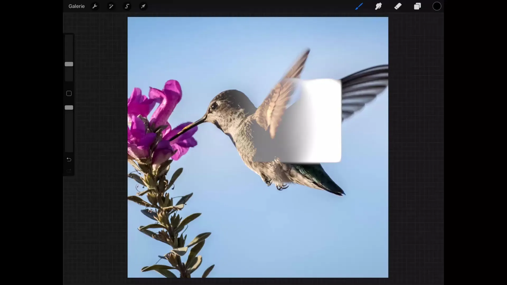 Digital kunst med Procreate: Blandingsmetoder for oplysning og kontrast