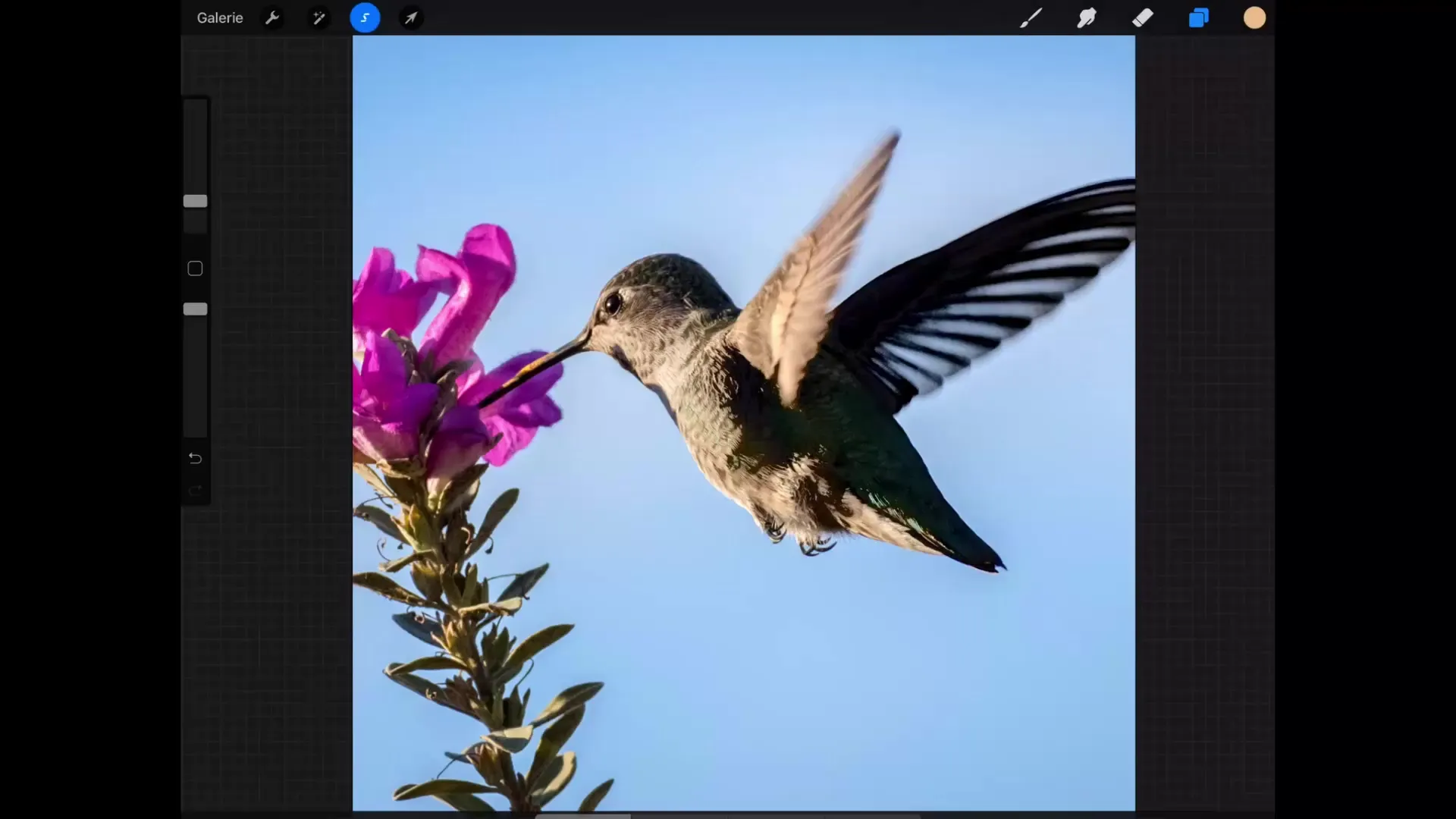Udvalgsredskab i Procreate: Grundlæggende og tips