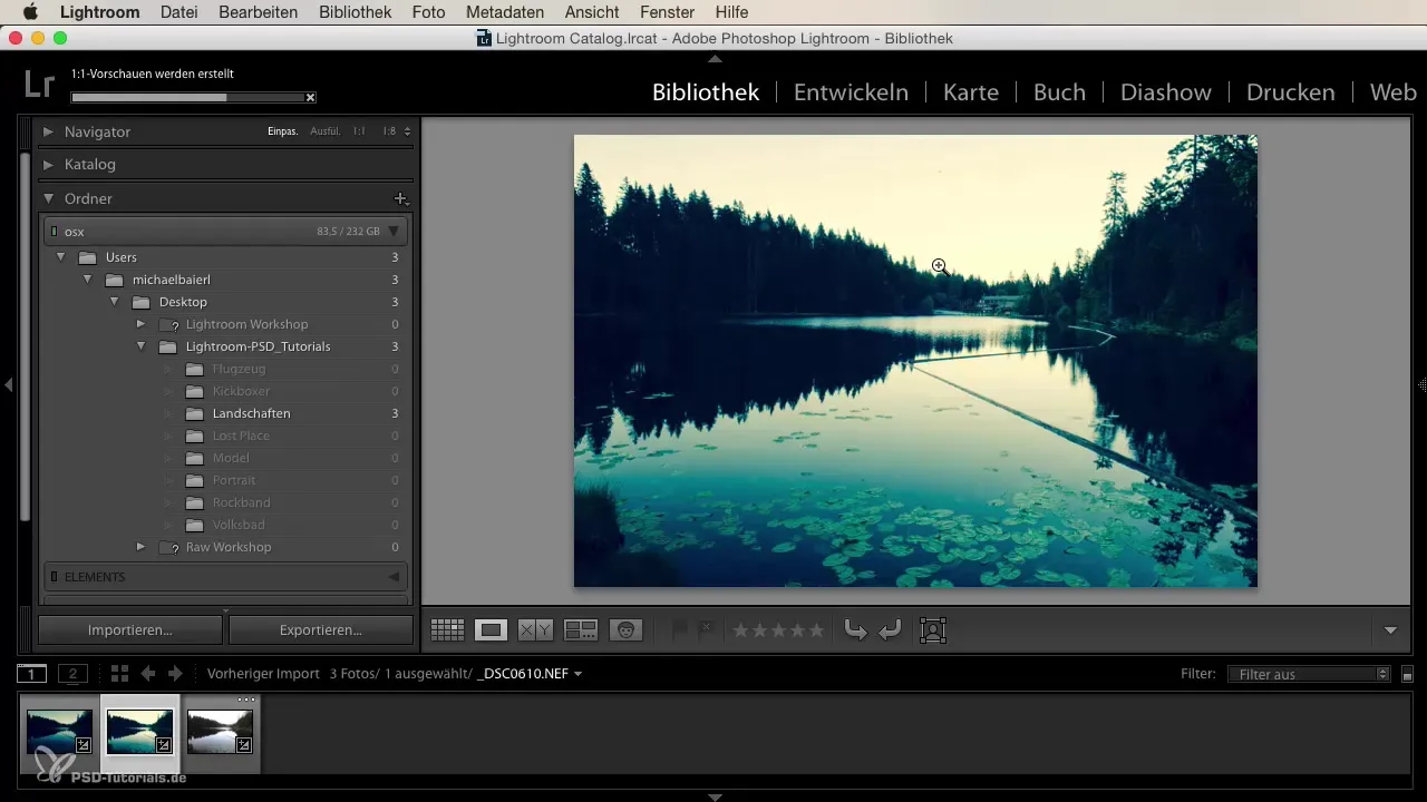 Impor yang Efisien di Lightroom dengan Preset Kustom