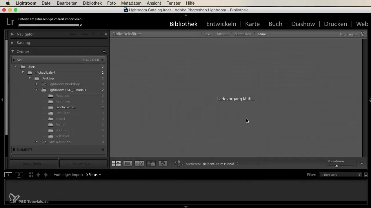 Impor yang Efisien di Lightroom dengan Preset Kustom