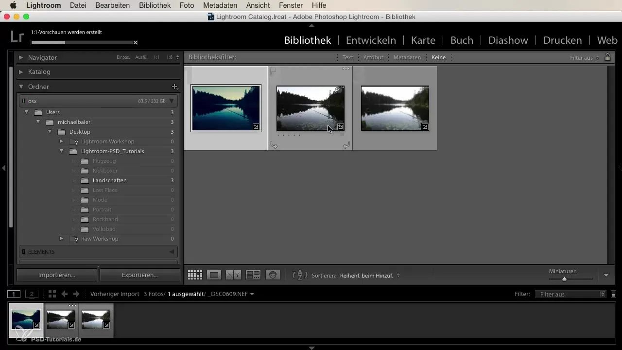 Impor yang Efisien di Lightroom dengan Preset Kustom