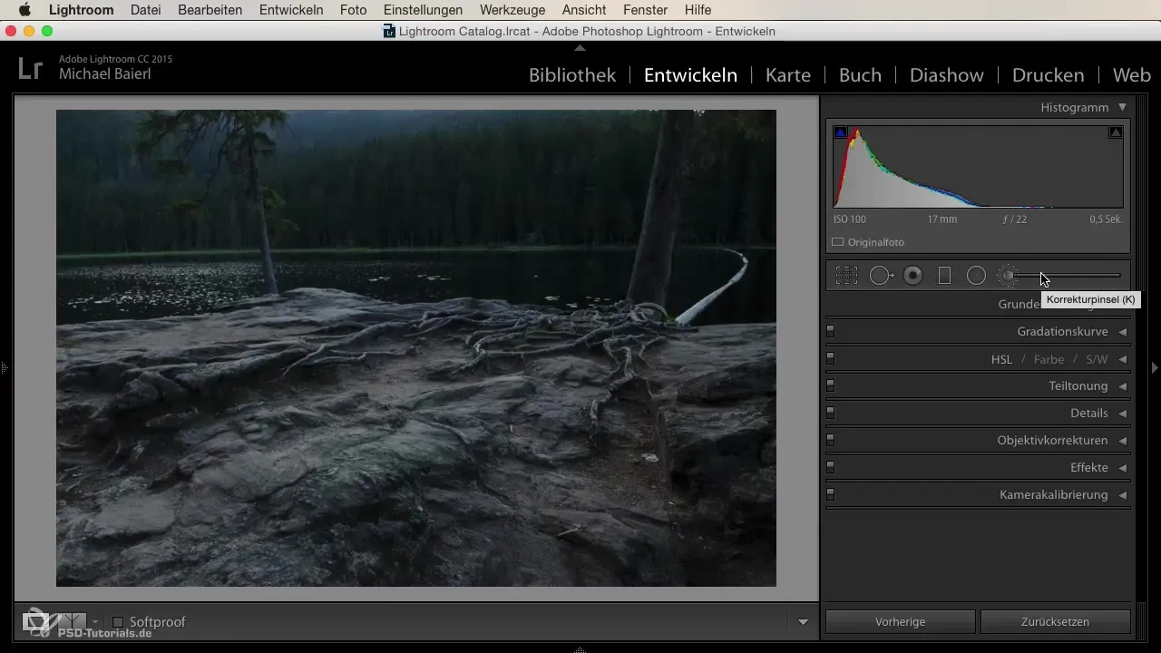 Cuenta cada paso: conocer las herramientas de desarrollo de Lightroom