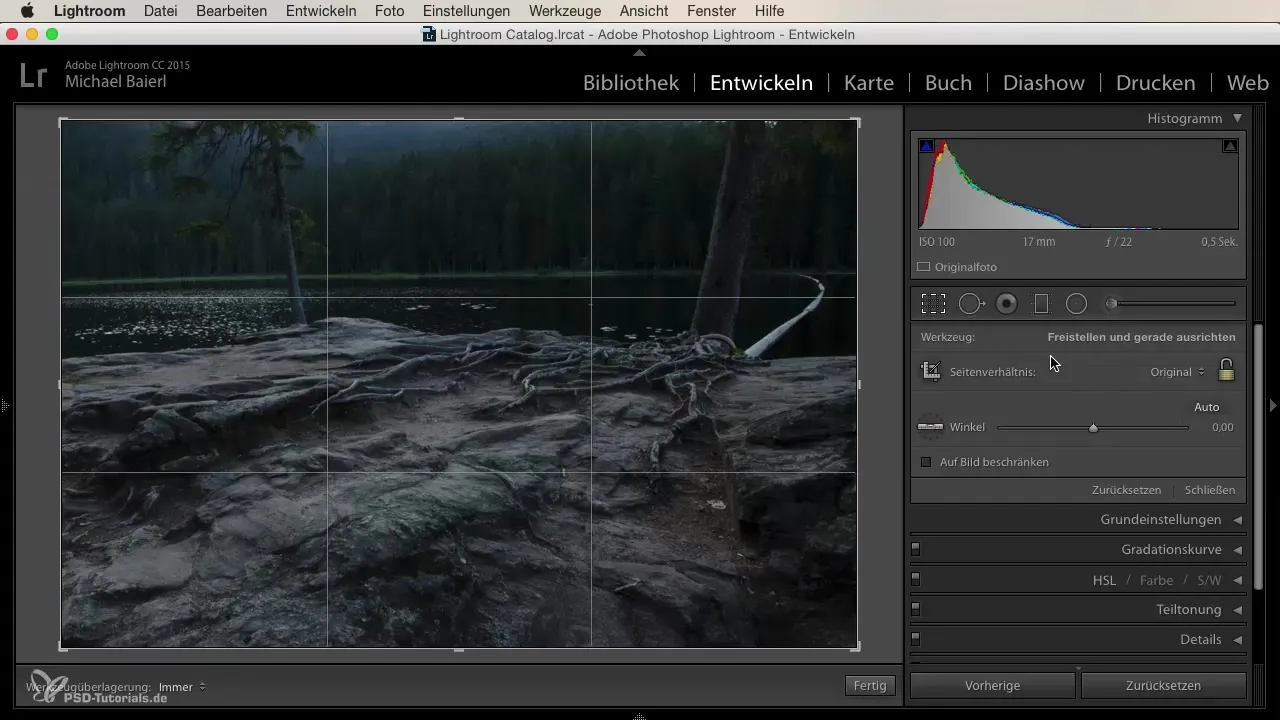 Cuenta cada paso: conocer las herramientas de desarrollo de Lightroom