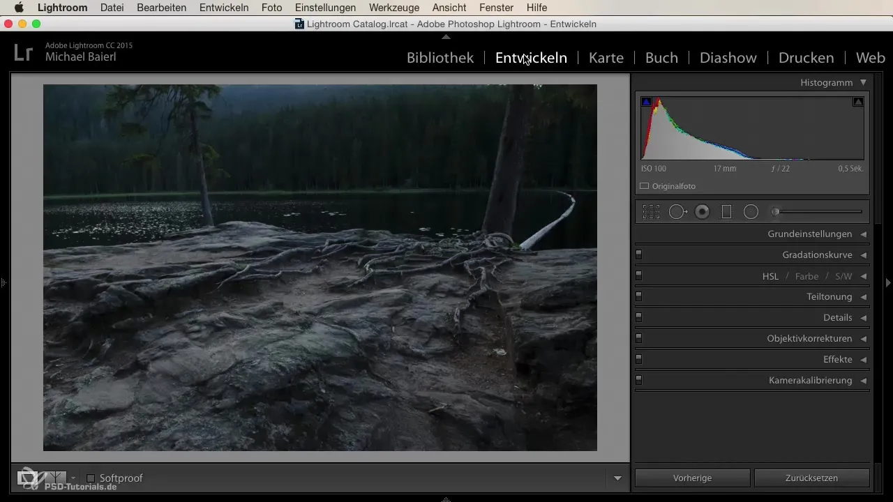 Cuenta cada paso: Conocer las herramientas de desarrollo de Lightroom
