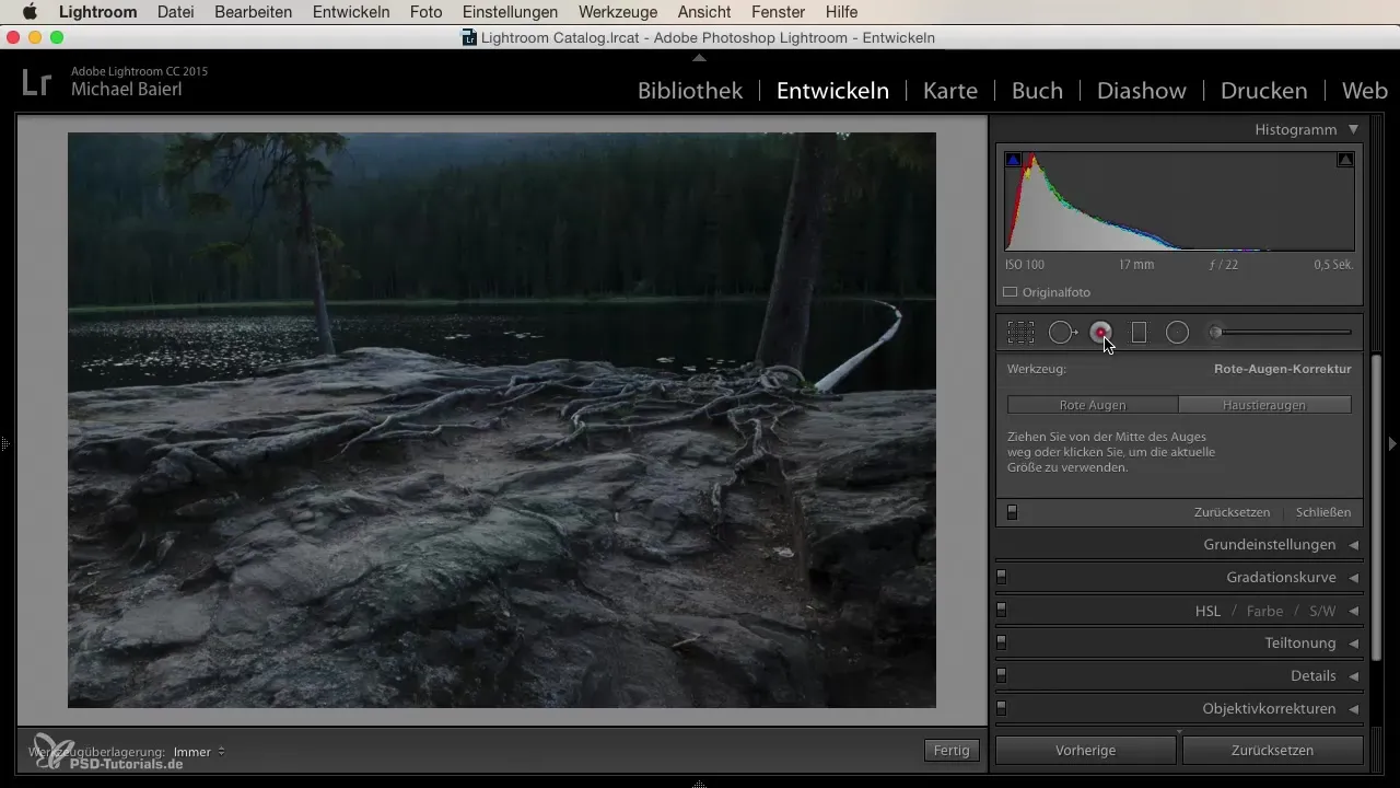 Cuenta cada paso: conocer las herramientas de desarrollo de Lightroom