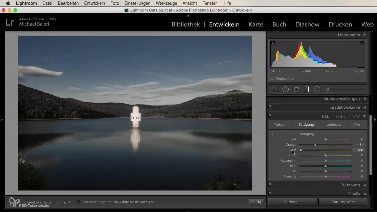 Impostazioni HSL di Lightroom per la manipolazione creativa delle immagini