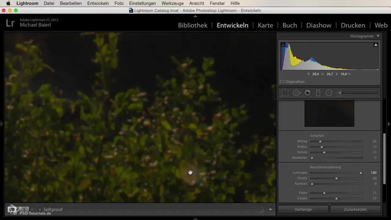 Efektívne redukovať šum v Lightroom