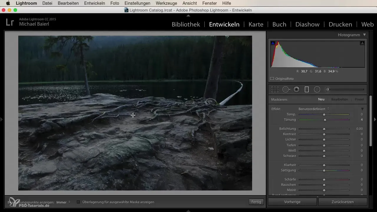 Curba liniară în Lightroom pentru editarea creativă a imaginilor