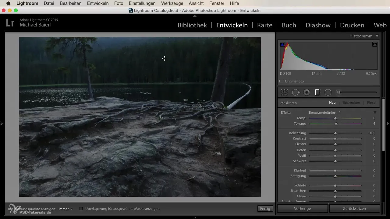 Veriunea liniară în Lightroom pentru editarea creativă a imaginilor
