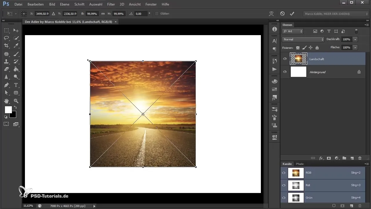 Photoshop-Composing: crear fondo y lienzo